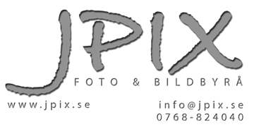 JPIX-BRADLEY-o-MYRIAD_websida